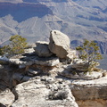 Grand Canyon Trip 2010 009